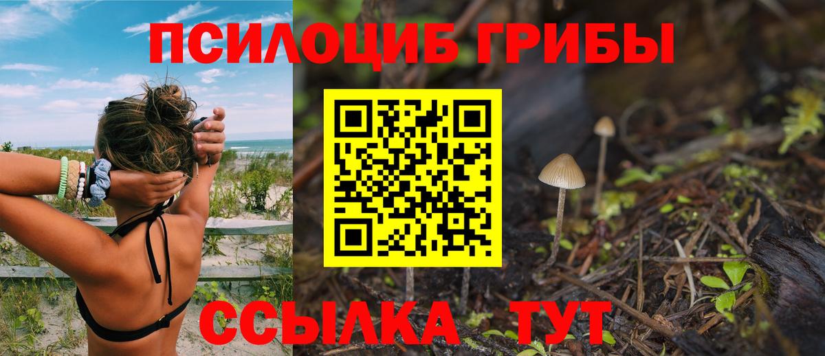 Псилоцибиновые грибы MAGIC MUSHROOMS  Вход с VPN  Ижевск  Галлюциногенные грибы Cubensis 