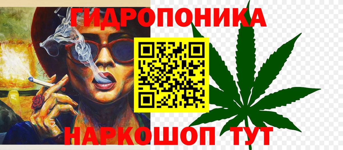 Конопля гибрид Ижевск