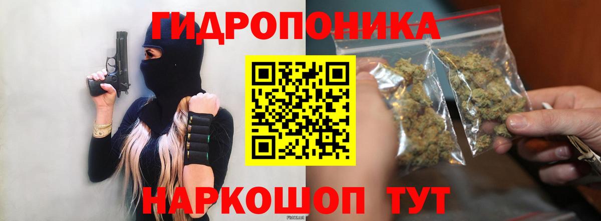 Каннабис сатива  МАРИХУАНА OG Kush  Конопля ГИДРОПОН  Ижевск  Вход с VPN  Каннабис марихуана 